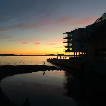 Tjuvholmen Gem With Rooftop Terrace And Parking * Oslo
